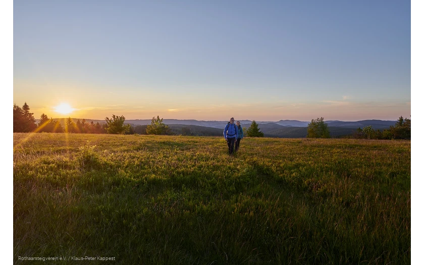 Wandernde im Sonnenuntergang auf dem Kahler Asten