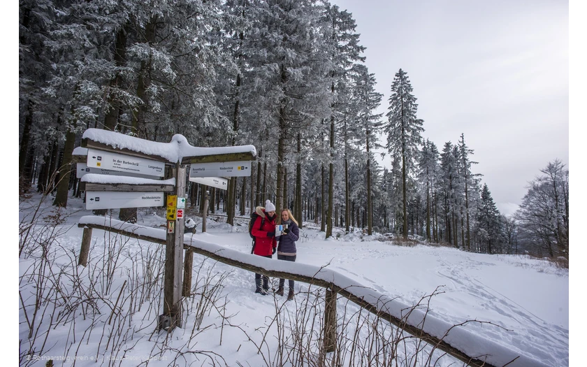 Winterwandern am Rothaarsteig