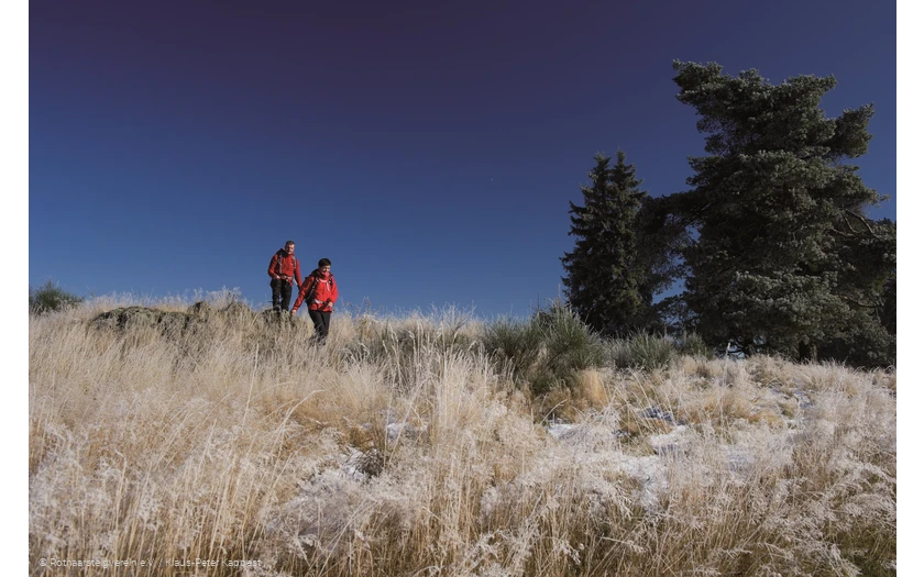 Winterwandern am Rothaarsteig