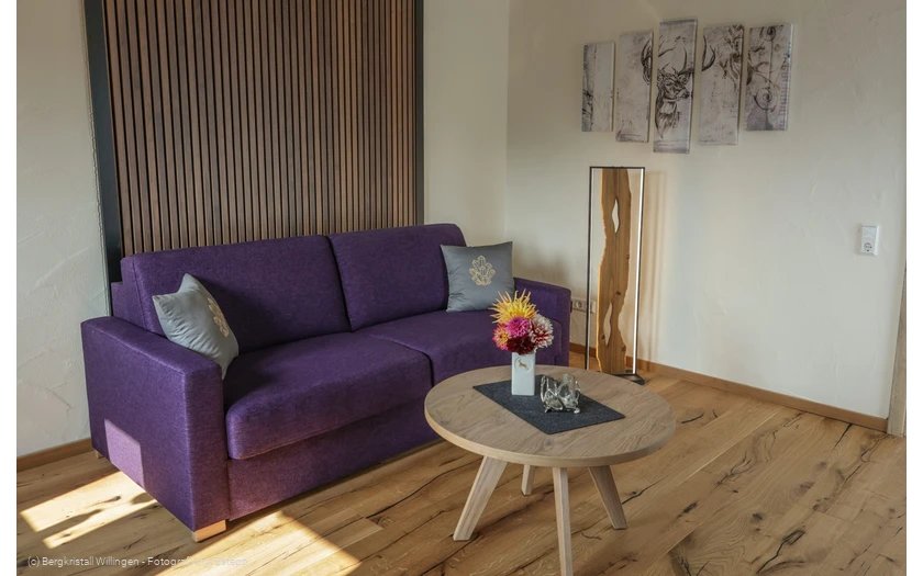 Bergluft - Bergkristall Willingen, Wohnzimmer Ferienwohnung am Rothaarsteig