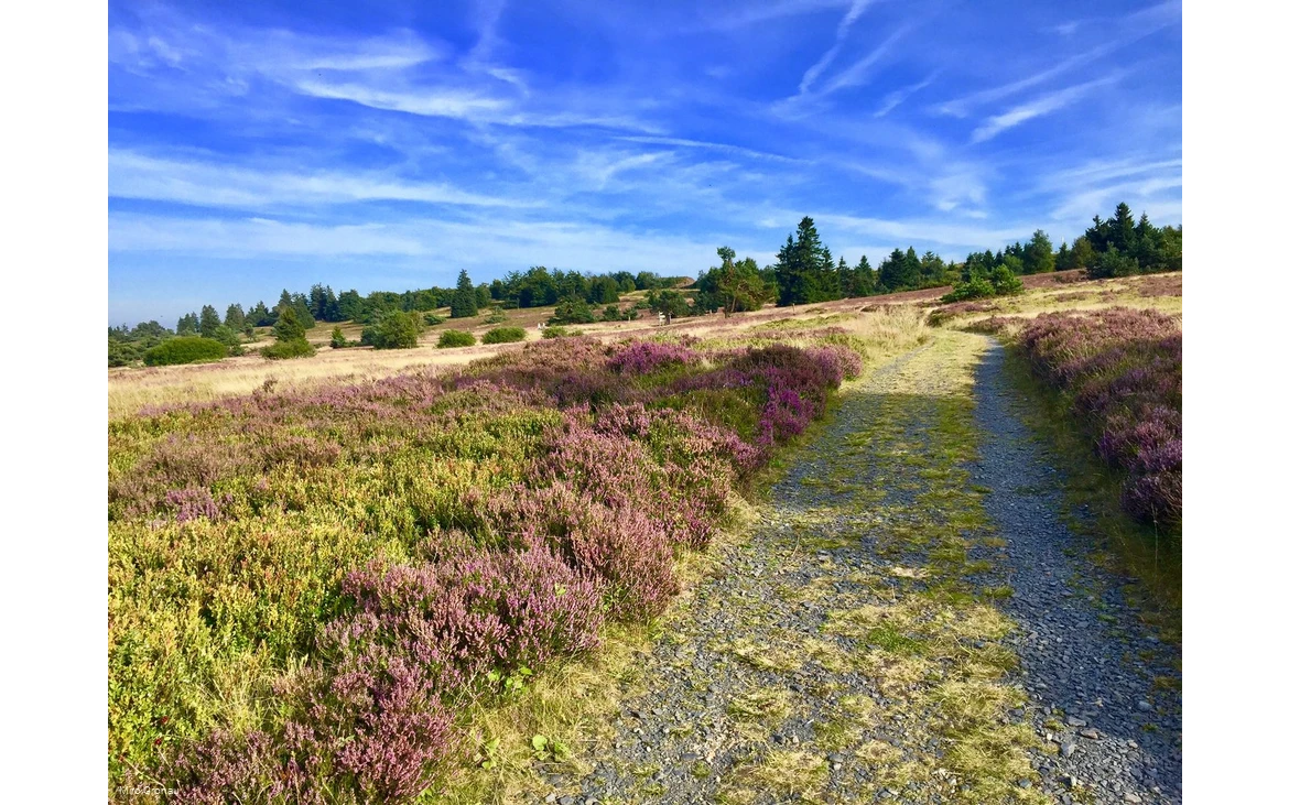 Weg auf dem Kahlen Pön