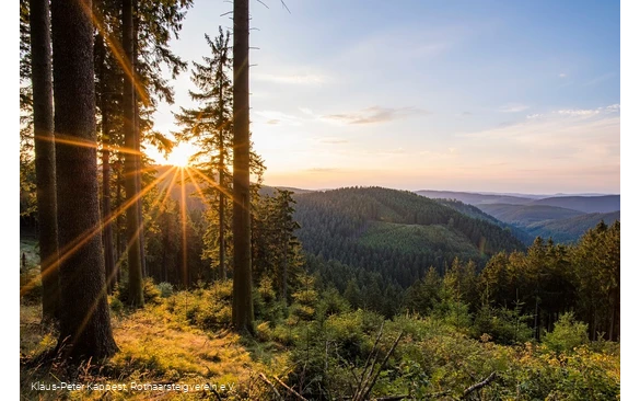 Aussicht vom Grenzweg bei Schmallenberg-Jagdhaus