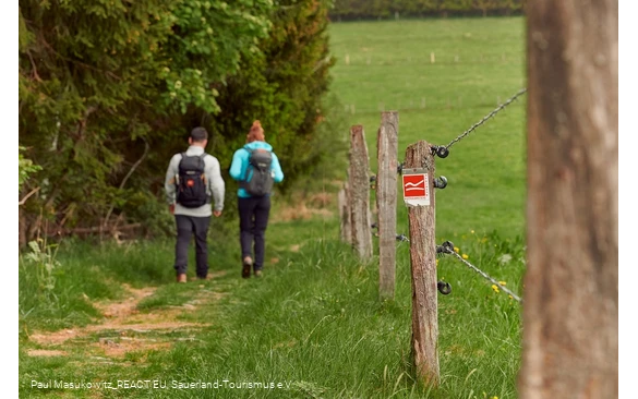 Pfad bei Küstelberg auf dem Rothaarsteig