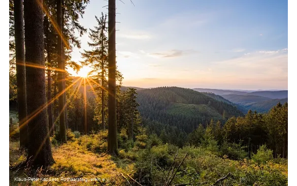 Aussicht vom Grenzweg bei Schmallenberg-Jagdhaus