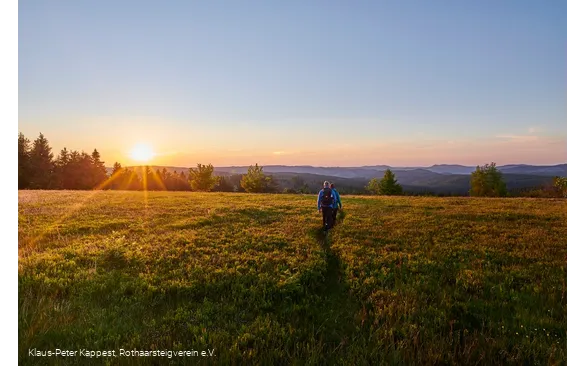 Sonnenuntergang in der Heidelandschaft auf dem Kahler Asten