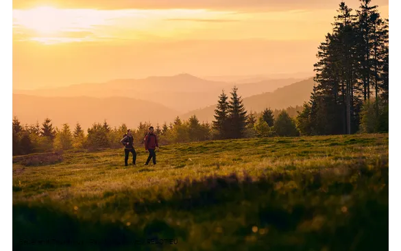 Zwei Wandernde im Sonnenuntergang auf dem Rothaarsteig in der Ginsberger Heide