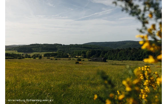 Aussicht vom Rothaarsteig bei Manderbach