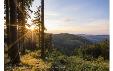 Aussicht am Rothaarsteig bei Jagdhaus
