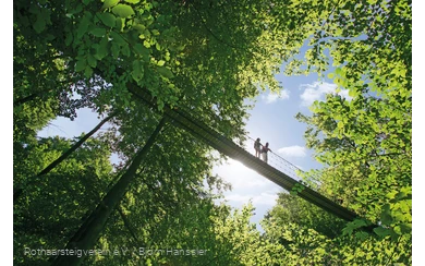 Hängebrücke am Rothaarsteig bei Kühhude