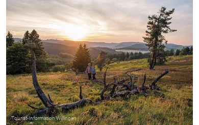 Zwei Wanderer in der Heide bei Willingen