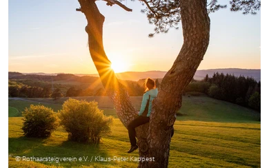 Sonnenuntergang am Rothaarsteig auf dem Kornberg
