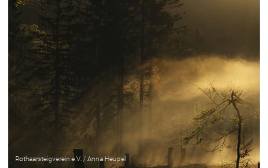 Bergwelten am Rothaarsteig: die Sonne scheint sanft durch den Nebel