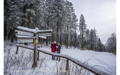 Winterwandern am Rothaarsteig