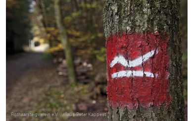 Wegezeichen des Rothaarsteig