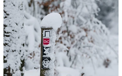 Verschneites Wegezeichen am Rothaarsteig