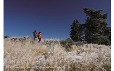 Winterwandern am Rothaarsteig