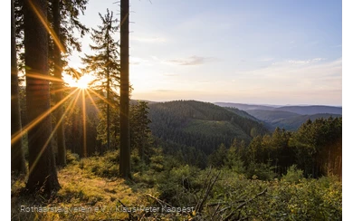 Aussicht vom Grenzweg bei Jagdhaus am Rothaarsteig