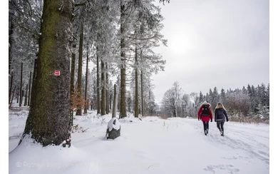 Winterwandern am Rothaarsteig