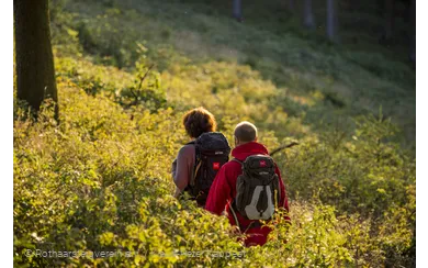 Wanderer auf dem Rothaarsteig