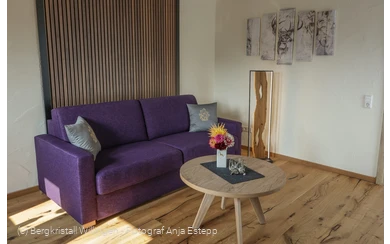 Bergluft - Bergkristall Willingen, Wohnzimmer Ferienwohnung am Rothaarsteig