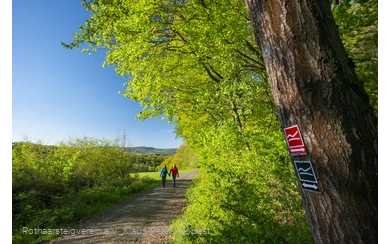 Wandernde auf einer Rothaarsteig-Spur