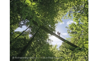 Hängebrücke am Rothaarsteig bei Kühhude