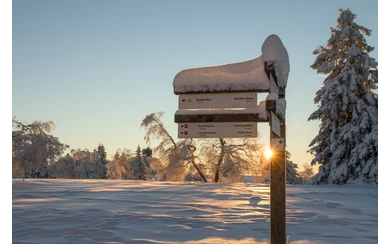 Verschneites Wanderschild am Rothaarsteig im Sonnenlicht