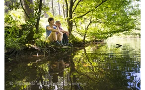 Weidelbacher Weiher an der Rothaarsteig-Spur Ilsetalpfad