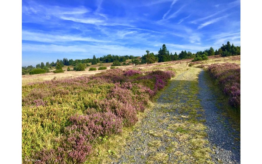 Weg auf dem Kahlen Pön