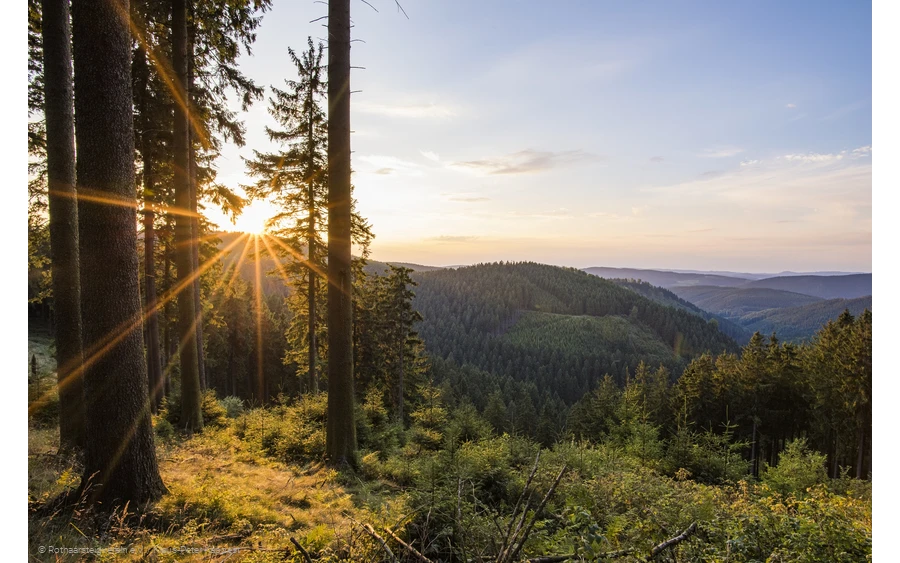 Aussicht am Rothaarsteig bei Jagdhaus
