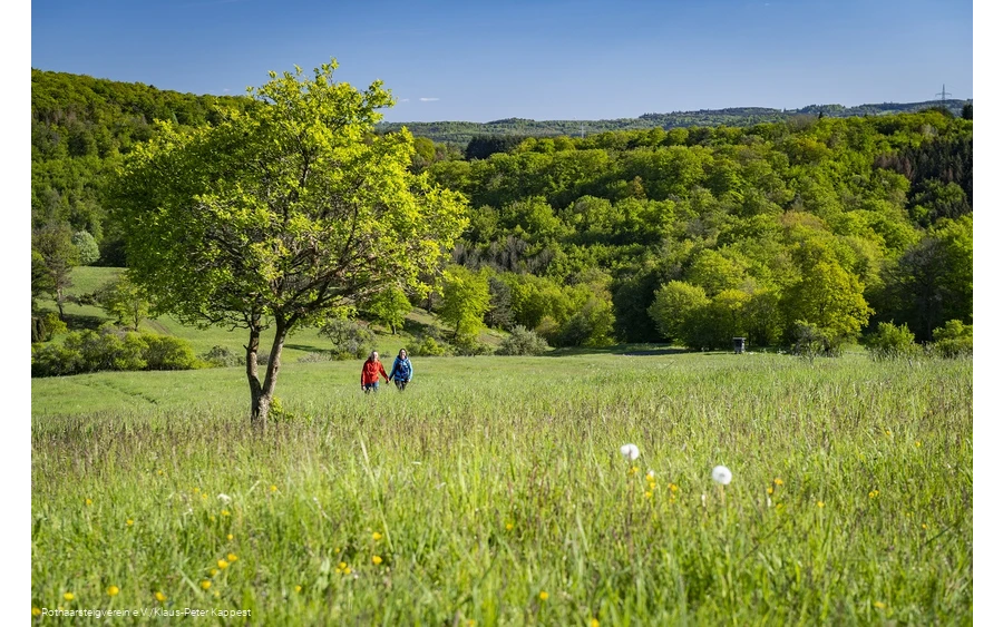 Zwei Wanderer auf der grünen Wiese