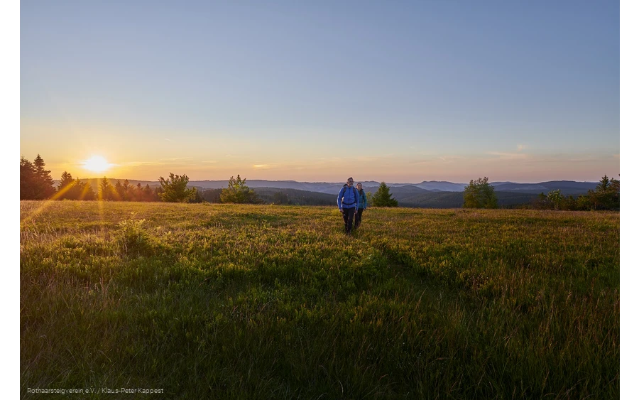 Wandernde im Sonnenuntergang auf dem Kahler Asten