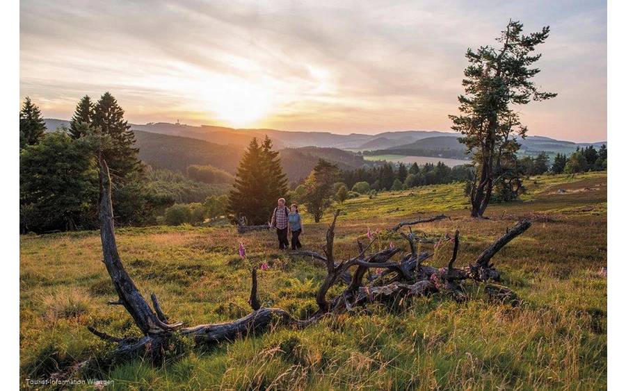 Zwei Wanderer in der Heide bei Willingen
