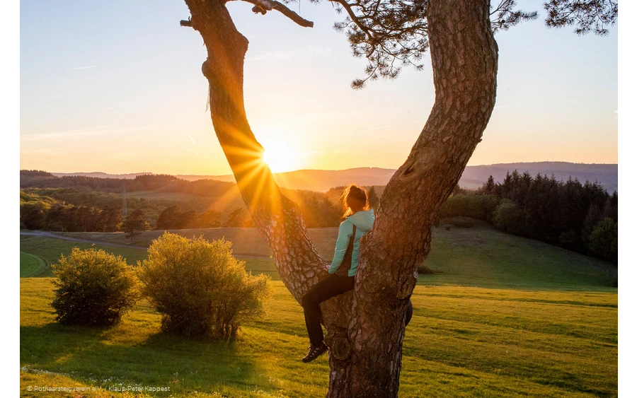Sonnenuntergang am Rothaarsteig auf dem Kornberg