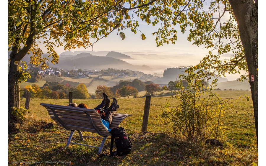 Herbst am Rothaarsteig