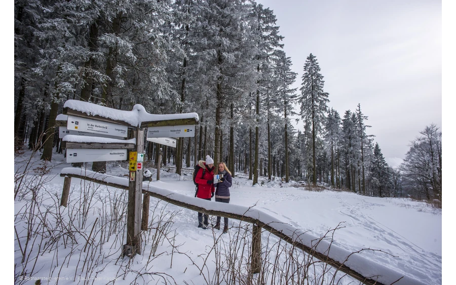 Winterwandern am Rothaarsteig
