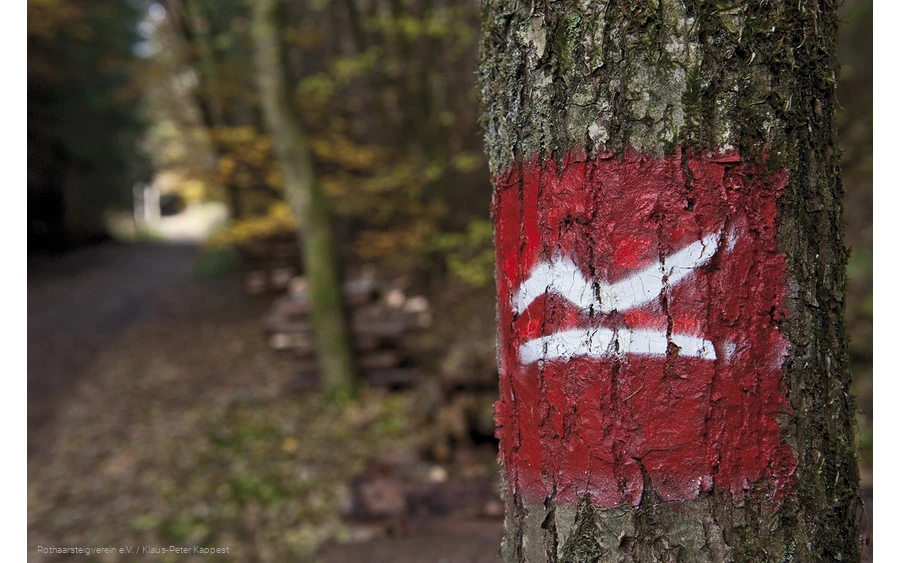 Wegezeichen des Rothaarsteig