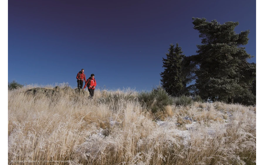 Winterwandern am Rothaarsteig