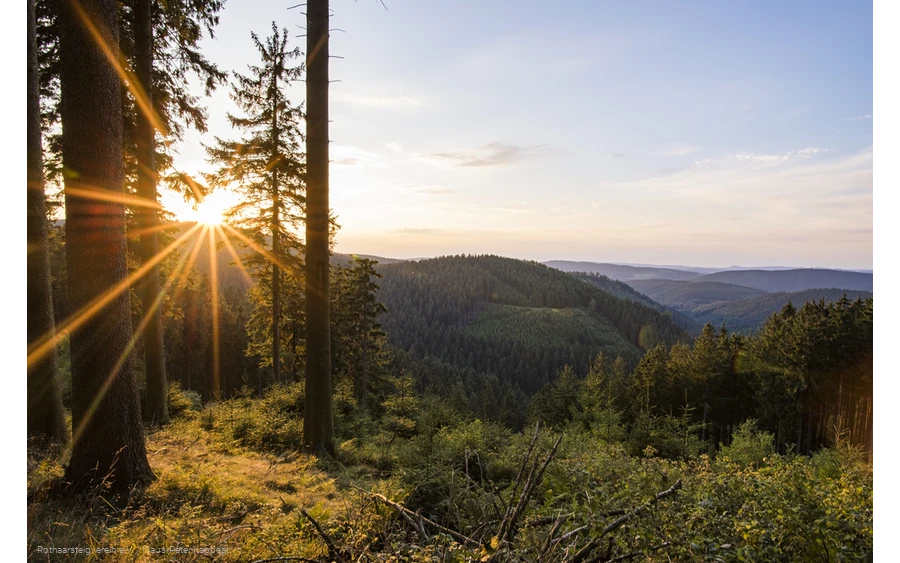 Aussicht vom Grenzweg bei Jagdhaus am Rothaarsteig