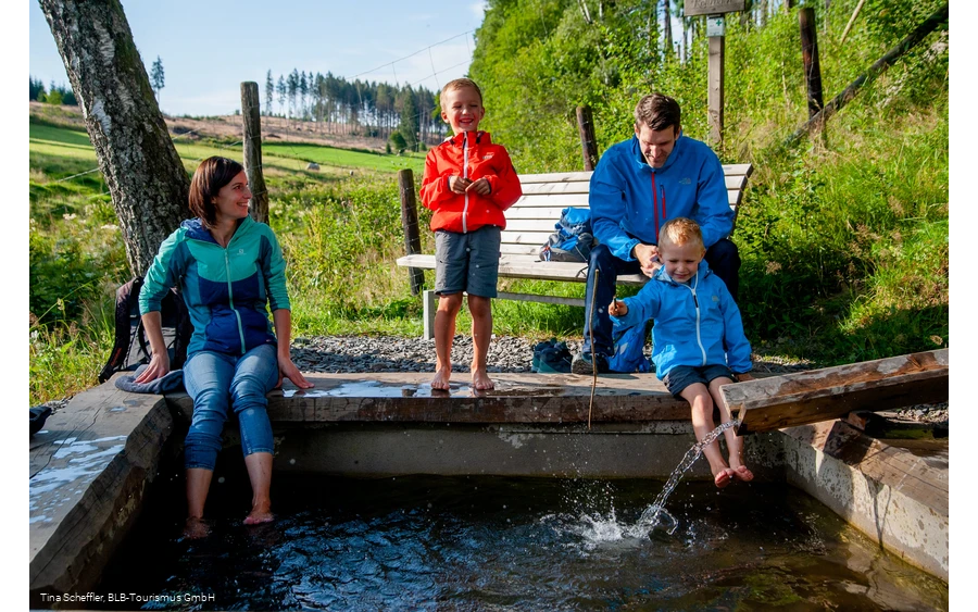 Wisent-Pfad - Tretbecken