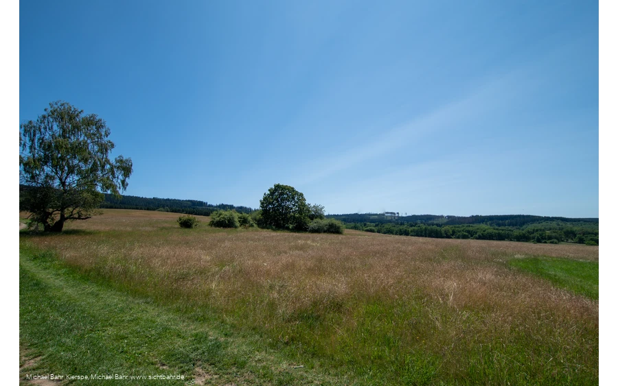 Gernsdorfer Weidekaempfe