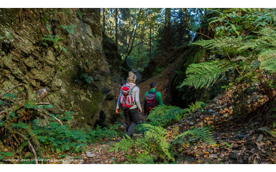 Traumhafte Pfad auf dem Kahlen Asten Steig