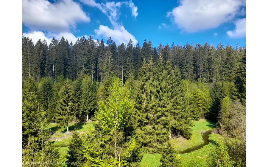 Kurz nach dem Start - der malerische Blick auf den mäandrierenden Zinsebach