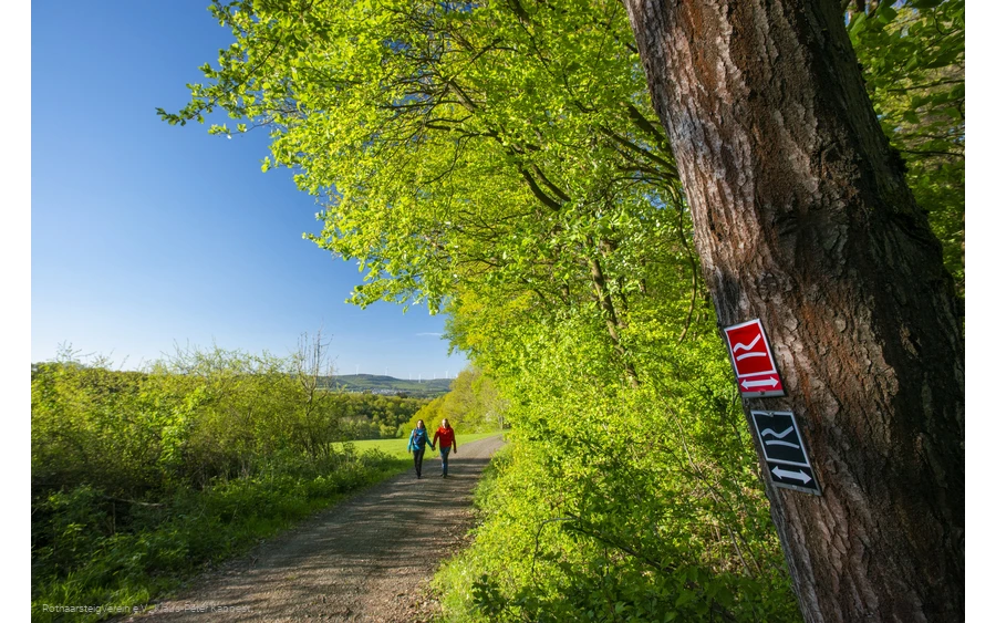 Wandernde auf einer Rothaarsteig-Spur