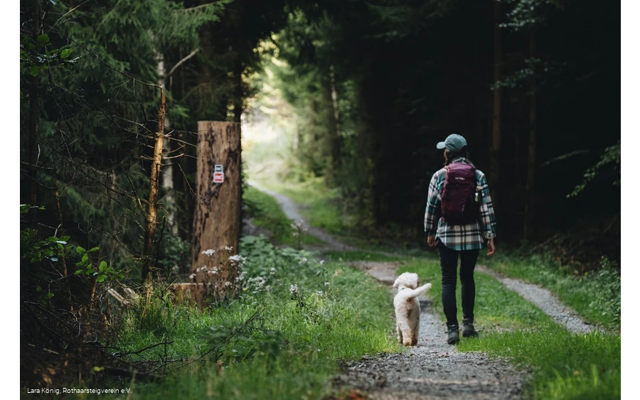 Wanderin im Wald auf dem Rothaarsteig