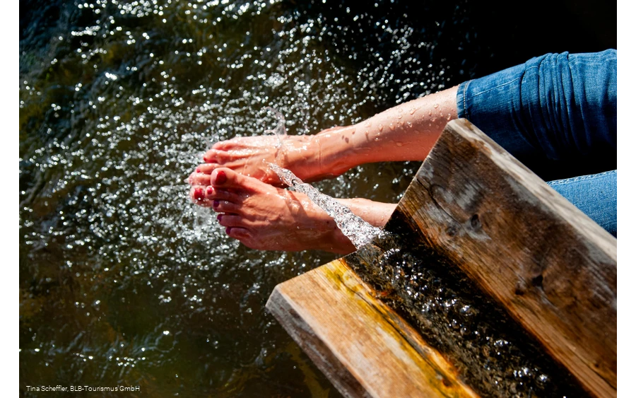 Wisent-Pfad - Tretbecken
