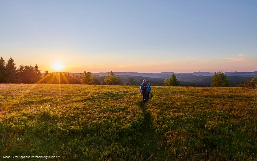 Sonnenuntergang in der Heidelandschaft auf dem Kahler Asten