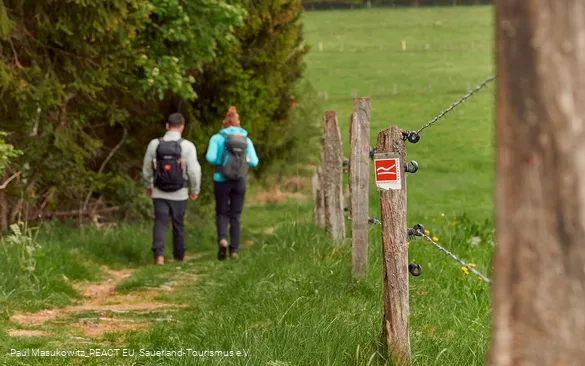 Pfad bei Küstelberg auf dem Rothaarsteig