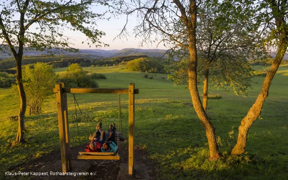 Waldschaukel auf dem Kornberg