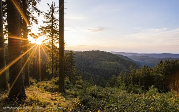Aussicht vom Grenzweg bei Jagdhaus am Rothaarsteig